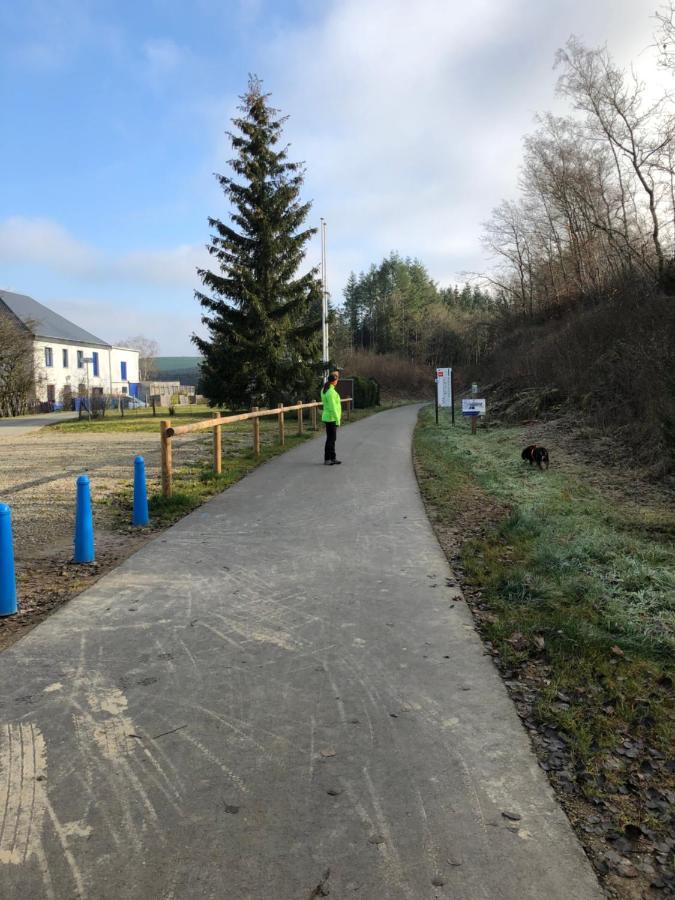 Haus Zissi Villa Burg Reuland Eksteriør bilde